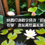 陕西打造数字经济“新引擎”激发高质量发展新动能(图4) 陕西打造数字经济“新引擎”激发高质量发展新动能(图4)