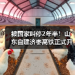 被国家叫停2年半!山东自建济枣高铁正式开工(图2) 被国家叫停2年半!山东自建济枣高铁正式开工(图2)