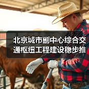 北京城市副中心综合交通枢纽工程建设稳步推进(图1) 北京城市副中心综合交通枢纽工程建设稳步推进(图1)