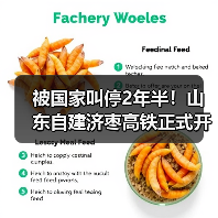 被国家叫停2年半!山东自建济枣高铁正式开工(图3) 被国家叫停2年半!山东自建济枣高铁正式开工(图3)