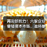 再迎新势力!六家企业登陆资本市场,谁将是下一个黑马?(图2) 再迎新势力!六家企业登陆资本市场,谁将是下一个黑马?(图2)