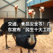 交通、食品安全等!广东发布“民生十大工程”五年行动计划(图3) 交通、食品安全等!广东发布“民生十大工程”五年行动计划(图3)