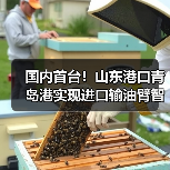 国内首台!山东港口青岛港实现进口输油臂智能对接(图2) 国内首台!山东港口青岛港实现进口输油臂智能对接(图2)