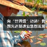向“世界级”迈进!我国先进制造业集群发展优势凸显(图3) 向“世界级”迈进!我国先进制造业集群发展优势凸显(图3)