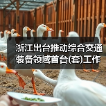 浙江出台推动综合交通装备领域首台(套)工作的实施意见(图3) 浙江出台推动综合交通装备领域首台(套)工作的实施意见(图3)