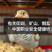 有关印刷、矿山、制盐！中国职业安全健康协会五项标准发布（图2）
