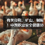 有关印刷、矿山、制盐！中国职业安全健康协会五项标准发布（图1）