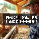 有关印刷、矿山、制盐！中国职业安全健康协会五项标准发布（图3）