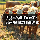 支持高能级项目建设！河南郑州市加强制造业高质量发展（图4）