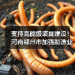 支持高能级项目建设！河南郑州市加强制造业高质量发展（图3）