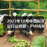 2023年10月中国制造业行业观察：PMI有所回落（图2）