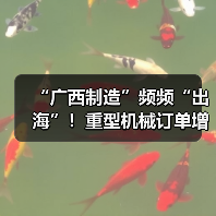 “广西制造”频频“出海”！重型机械订单增长显著（图1）
