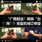 “广西制造”频频“出海”！重型机械订单增长显著（图4）