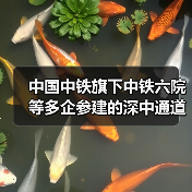 中国中铁旗下中铁六院等多企参建的深中通道主线全线贯通（图2）