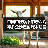 中国中铁旗下中铁六院等多企参建的深中通道主线全线贯通（图4）