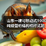 山东一建可移动式1000吨级管桁结构桅杆式起重机作业！（图1）
