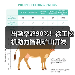 出勤率超90%!徐工挖机助力智利矿山开发(图1) 出勤率超90%!徐工挖机助力智利矿山开发(图1)