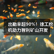 出勤率超90%!徐工挖机助力智利矿山开发(图2) 出勤率超90%!徐工挖机助力智利矿山开发(图2)