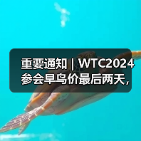 重要通知 | WTC2024参会早鸟价最后两天,最高优惠千元!(图2) 重要通知 | WTC2024参会早鸟价最后两天,最高优惠千元!(图2)