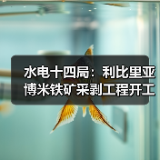 水电十四局:利比里亚博米铁矿采剥工程开工!(图3) 水电十四局:利比里亚博米铁矿采剥工程开工!(图3)