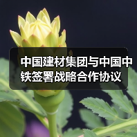 中国建材集团与中国中铁签署战略合作协议(图2) 中国建材集团与中国中铁签署战略合作协议(图2)