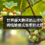 世界最大跨径的三塔空间缆地锚式悬索桥北塔成功封顶(图2) 世界最大跨径的三塔空间缆地锚式悬索桥北塔成功封顶(图2)
