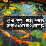 总统点赞!玻利维亚投资最大的在建公路工程全面通车(图2) 总统点赞!玻利维亚投资最大的在建公路工程全面通车(图2)