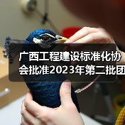 广西工程建设标准化协会批准2023年第二批团体标准立项(图3) 广西工程建设标准化协会批准2023年第二批团体标准立项(图3)
