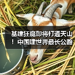 基建狂魔即将打通天山!中国建世界最长公路隧道(图3) 基建狂魔即将打通天山!中国建世界最长公路隧道(图3)