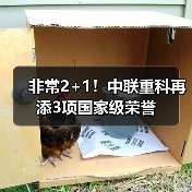 非常2+1!中联重科再添3项国家级荣誉(图1) 非常2+1!中联重科再添3项国家级荣誉(图1)