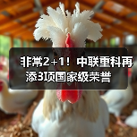 非常2+1!中联重科再添3项国家级荣誉(图2) 非常2+1!中联重科再添3项国家级荣誉(图2)