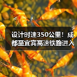 设计时速350公里!成都至宜宾高速铁路进入运行试验阶段(图1) 设计时速350公里!成都至宜宾高速铁路进入运行试验阶段(图1)