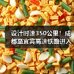 设计时速350公里!成都至宜宾高速铁路进入运行试验阶段(图4) 设计时速350公里!成都至宜宾高速铁路进入运行试验阶段(图4)