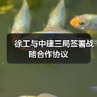 徐工与中建三局签署战略合作协议(图2) 徐工与中建三局签署战略合作协议(图2)