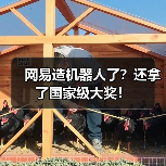网易造机器人了？还拿了国家级大奖！（图1）