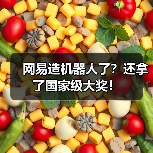 网易造机器人了？还拿了国家级大奖！（图4）