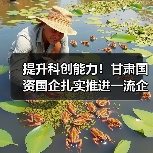 提升科创能力！甘肃国资国企扎实推进一流企业创建工作（图2）