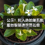 公示!拟入选的第五批服务型制造示范名单(图2) 公示!拟入选的第五批服务型制造示范名单(图2)