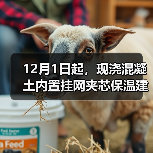 12月1日起,现浇混凝土内置挂网夹芯保温建筑构造标准实施(图2) 12月1日起,现浇混凝土内置挂网夹芯保温建筑构造标准实施(图2)