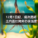 12月1日起,现浇混凝土内置挂网夹芯保温建筑构造标准实施(图4) 12月1日起,现浇混凝土内置挂网夹芯保温建筑构造标准实施(图4)