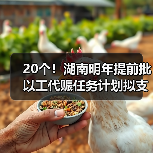 20个!湖南明年提前批以工代赈任务计划拟支持项目出炉(图2) 20个!湖南明年提前批以工代赈任务计划拟支持项目出炉(图2)