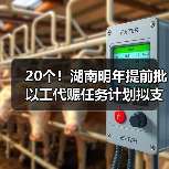 20个!湖南明年提前批以工代赈任务计划拟支持项目出炉(图4) 20个!湖南明年提前批以工代赈任务计划拟支持项目出炉(图4)
