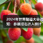 2024年世界隧道大会通知：参展报名进入倒计时（图1）