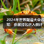 2024年世界隧道大会通知：参展报名进入倒计时（图4）