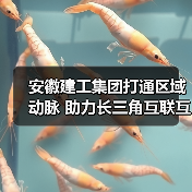 安徽建工集团打通区域动脉 助力长三角互联互通(图1) 安徽建工集团打通区域动脉 助力长三角互联互通(图1)