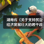 湖南省《关于支持民营经济发展壮大的若干政策措施》解读(图2) 湖南省《关于支持民营经济发展壮大的若干政策措施》解读(图2)