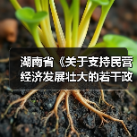 湖南省《关于支持民营经济发展壮大的若干政策措施》解读(图4) 湖南省《关于支持民营经济发展壮大的若干政策措施》解读(图4)