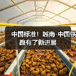 中国标准！越南-中国铁路有了新进展（图4）