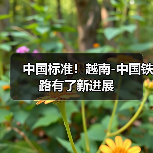 中国标准！越南-中国铁路有了新进展（图1）
