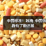 中国标准！越南-中国铁路有了新进展（图2）